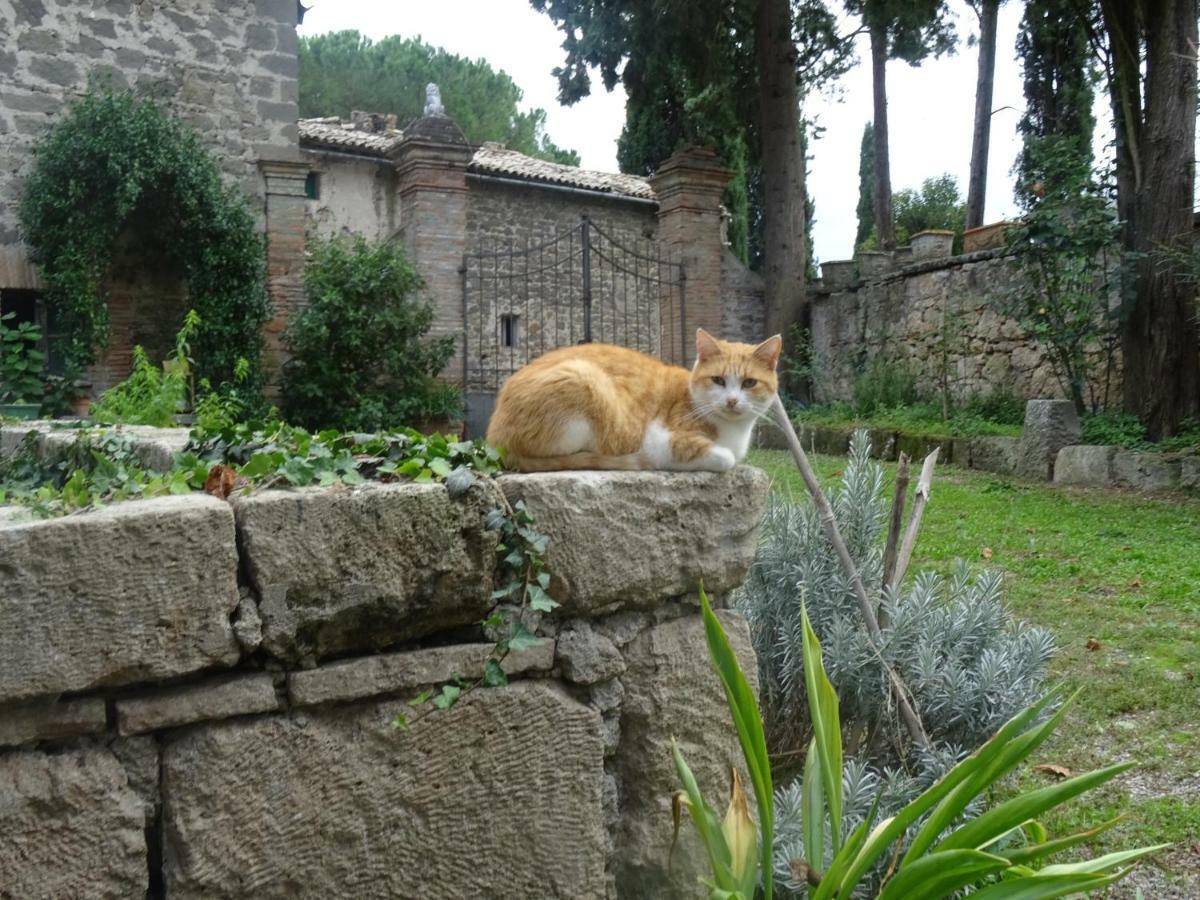 Appartamenti Lais In Sipicciano ภายนอก รูปภาพ
